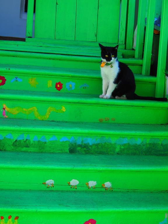 Green Stairs Guest House Tiflis Exterior foto