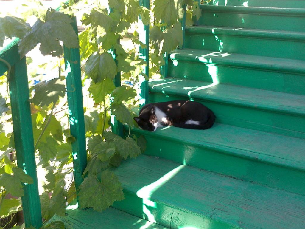 Green Stairs Guest House Tiflis Exterior foto
