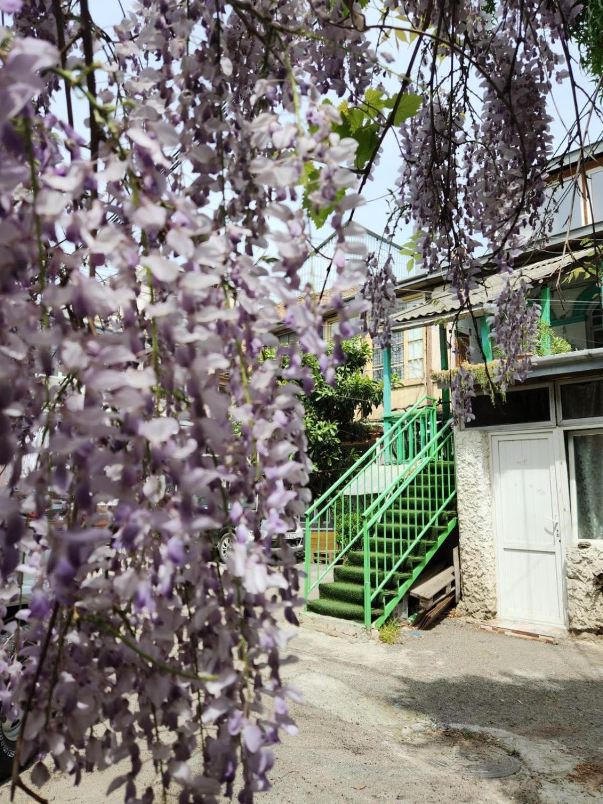 Green Stairs Guest House Tiflis Exterior foto