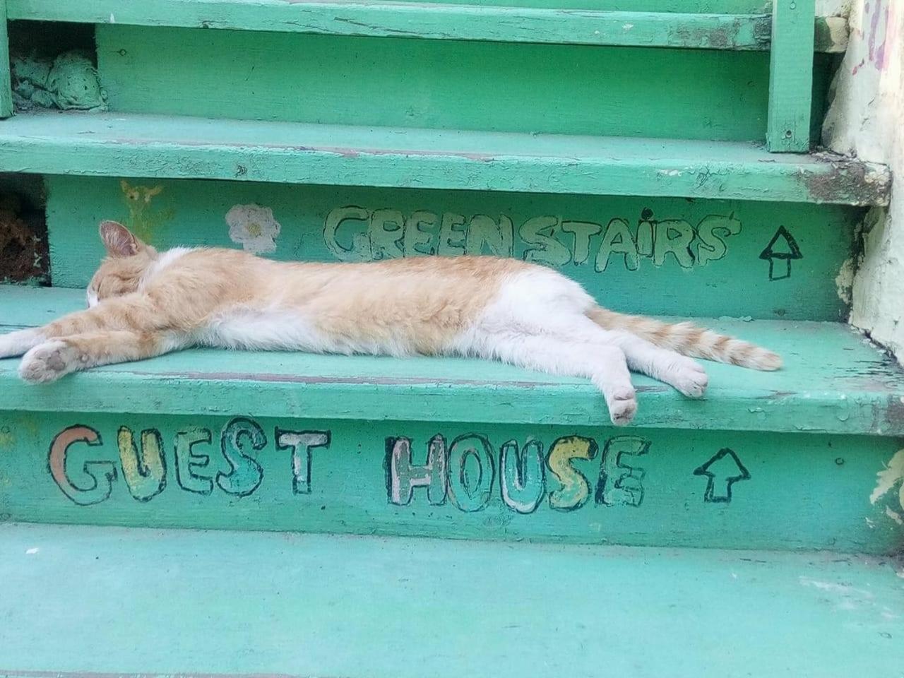 Green Stairs Guest House Tiflis Exterior foto